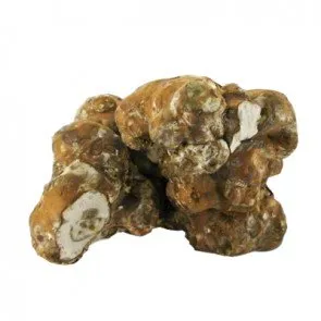 buy magic truffles in uk